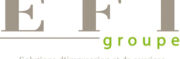logoEFIGroupe-400 logoEFIGroupe-400